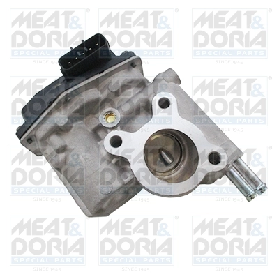 EGR Valve